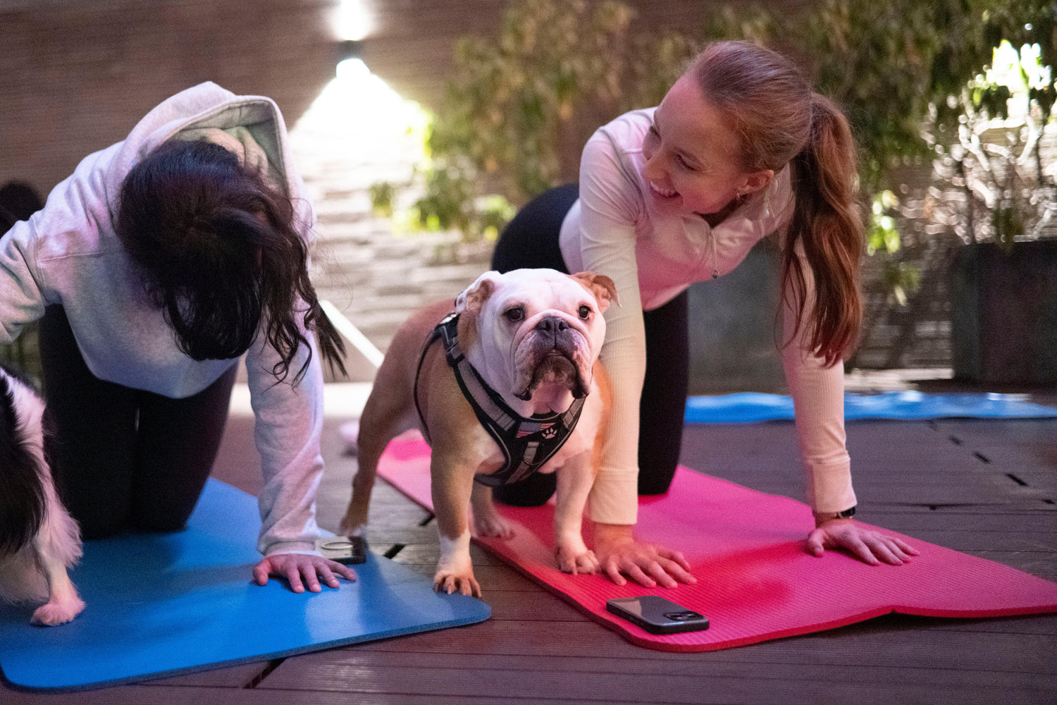 SRC x RiseWise Therapy dog yoga